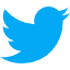Blue twitter icon